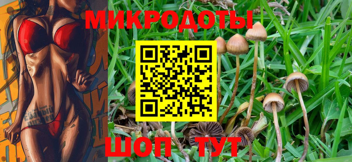Галлюциногенные грибы Cubensis Ижевск