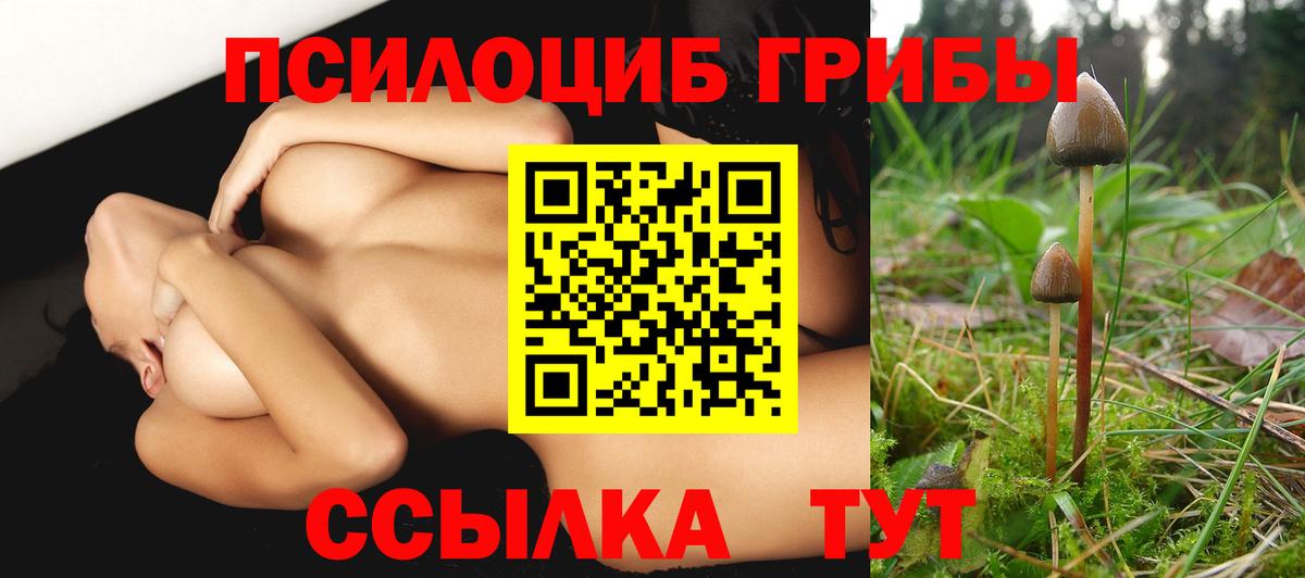 Ижевск  Псилоцибиновые грибы мухоморы  Вход с VPN 