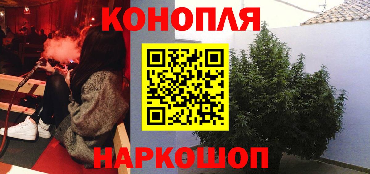 Бошки марихуана семена  Вход с VPN  Марихуана тримм  МАРИХУАНА OG Kush  Ижевск 